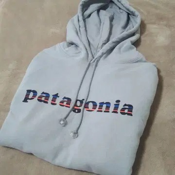 파타고니아 후드티 그레이 Msize
