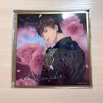 잘생긴 왕자 대만 아크릴 색지 진