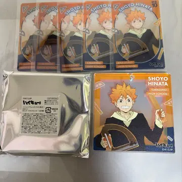 하이큐 오로라 블로키 히나타