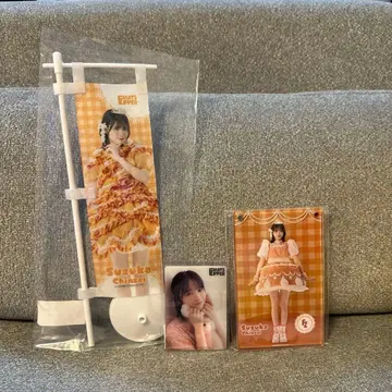 진제 스즈카 노보리 클리어 카드 아크릴 섀도우 박스