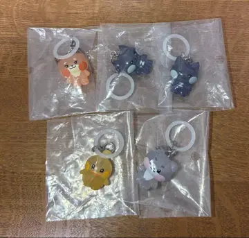 ZERONI 메지루시 액세서리 5세트