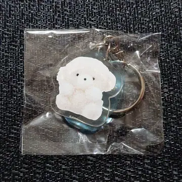 조세마루 그림 전시회 가챠 회장 한정판 키링