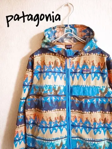 D222138 파타고니아 배기스 재킷