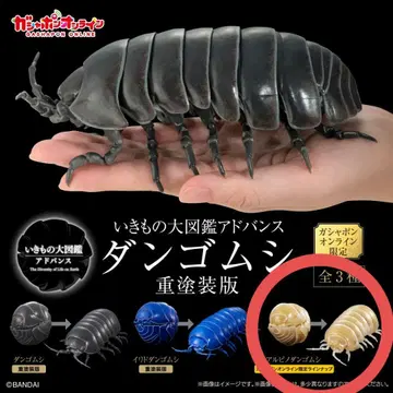 생물대도감 어드밴스 공벌레 중 페인팅판 알비노 공벌레