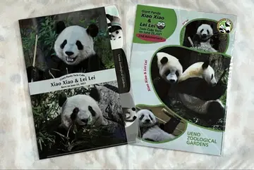 샤오샤오 레이레이 우에노 동물원 팬더 클리어 파일