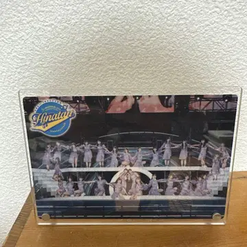 히나타자카46 5번째 히나탄사이 아크릴 플레이트