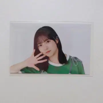 쇼겐지 요코 미니 브로마이드