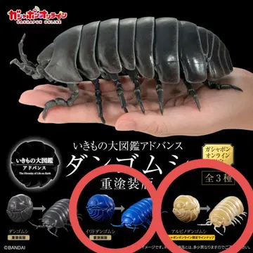 생물대도감 어드밴스 공벌레 중 페인팅 버전 2종 세트