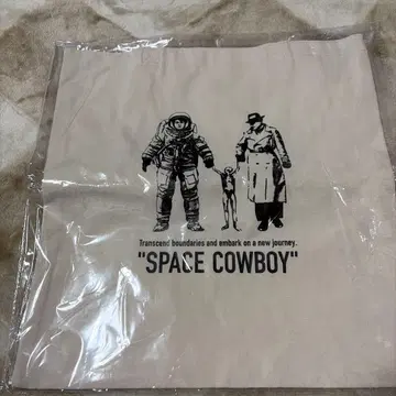 이와타 타카노리