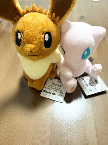 포켓몬스터 다정한 기분 봉제 인형 이브이와 뮤