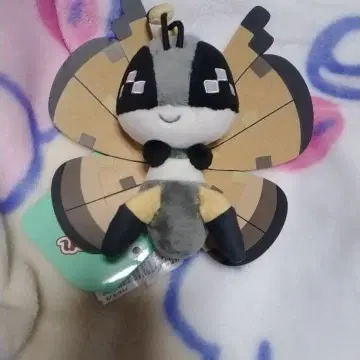 새상품급 미사용 포켓몬 센터 봉제 인형 fit 비비용 사막의 무늬