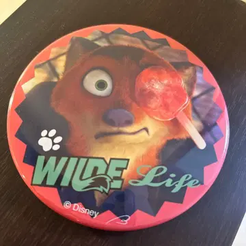 디즈니 닉 캔뱃지