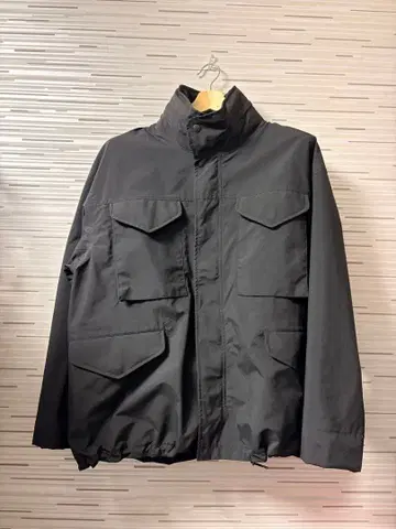 The northface purple label gore-tex