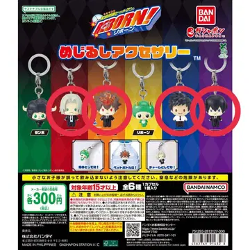 가정교사 히트맨 REBORN! 리본 메지루시 액세서리 세미 컴프