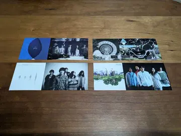 사카낙션 / 완전 생산 한정판 LP 스티커 4장 세트 미사용 새상품