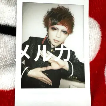 R지정 Z 폴라로이드