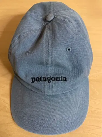 Patagonia 캡