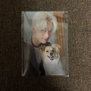 ENHYPEN 설문 트레이딩 카드 니키