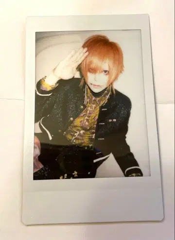 R 지정 카미카제 폴라로이드 마모 배송비 포함