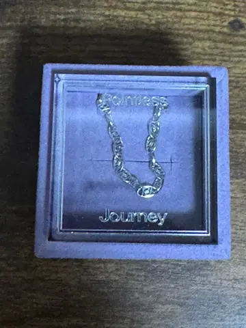 Pointless Journey CHAIN BRACELET SILVER