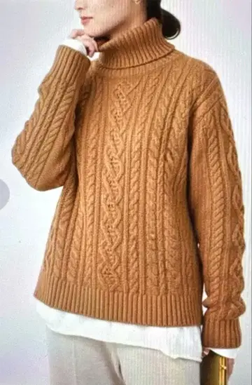 두지엠 클라세 알파카 혼방 케이블 짜임 터틀넥 니트 브라운