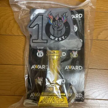 WEST. AWARD 응원봉