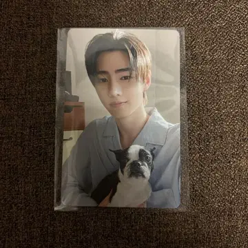 ENHYPEN 설문 트레이딩 카드 성훈