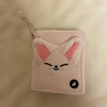 Straykids 포토카드 케이스 아이엔 폭시니 트레카 케이스