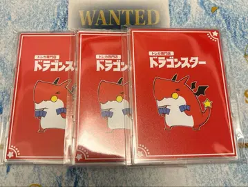 드래곤스타 드래스타 풀 프로텍트 슬리브 3개