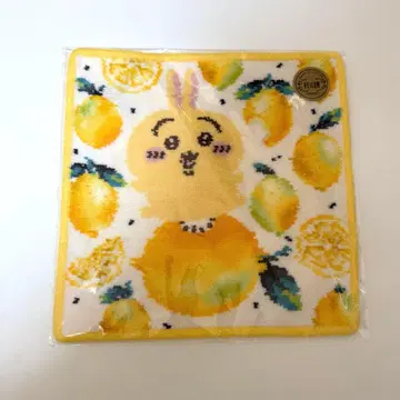 페일러 치이카와 (먼작귀) 콜라보 토끼 FEILER