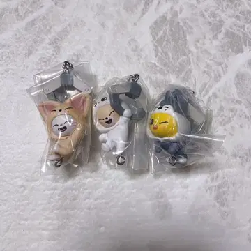 SKZOO 지니레트 포가리 폭시니