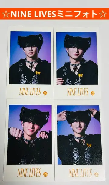 초특급 하루 NINE LIVES 미니 사진 세미 컴프 세트