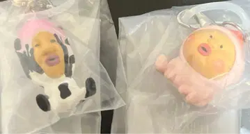 코비토즈칸 메지루시 액세서리 마스코트 카쿠레모모지리 시보리오치치