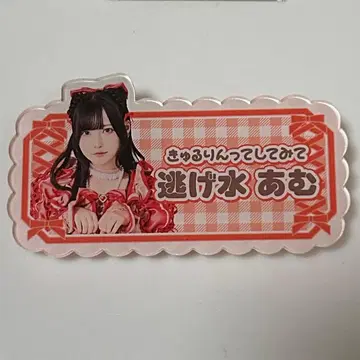 신기루 아뮤 이름 배지 야온