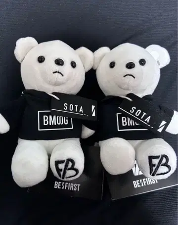 SOTA 봉제 인형 2체 세트