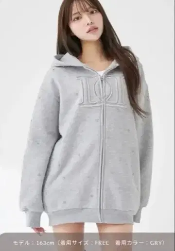 Darich DD 로고 비쥬 지퍼 후드티 GRY FREE