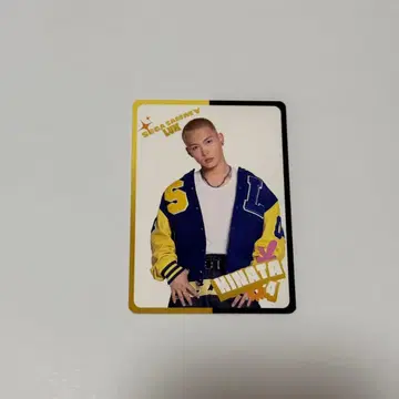 HINATA SEGASAMMYLUX 트레이딩 카드 d리그