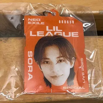 NEO EXILE 얼굴 메지루시 참