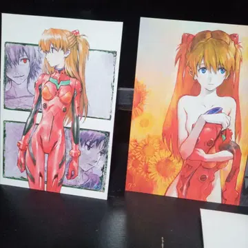 신세기 에반게리온 14권 프리미엄 한정판 특전