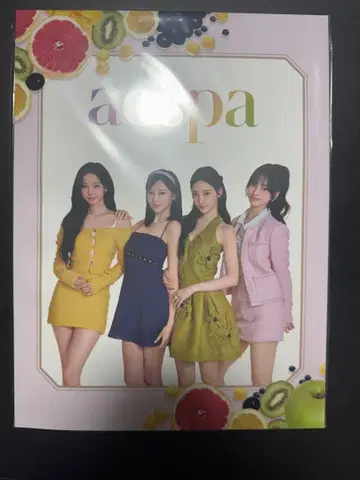 aespa 팬클럽 특전 winter