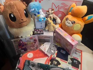 포켓몬 센터 피카피카 박스 2026