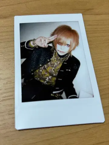 R 지정 마모 폴라로이드