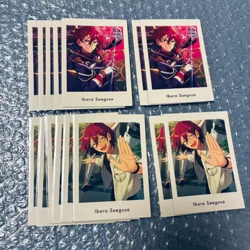 앙스타 파샤츠 사에구사 이바라