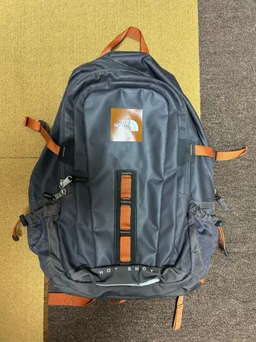 The North Face 그레이 백팩