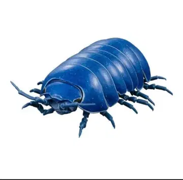 생물대도감 어드밴스 이리도단단한 벌레 (캡슐판) [새상품] 가챠