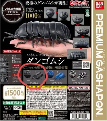 [캡슐판] 생물대도감 어드밴스 공벌레(블랙)