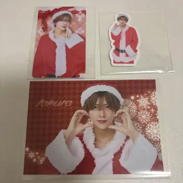 Xmas 복권 라부시크 사쿠라