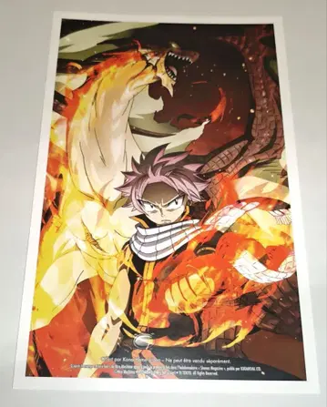 페어리 테일 컬렉터 카드 그 2 해외