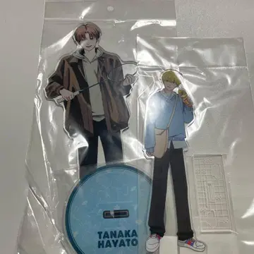 타카라 군과 아마기 군