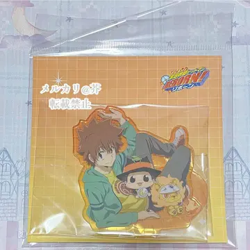 가정교사 히트맨 REBORN! 사와다 츠나요시 엔스카이 아크릴 스탠드